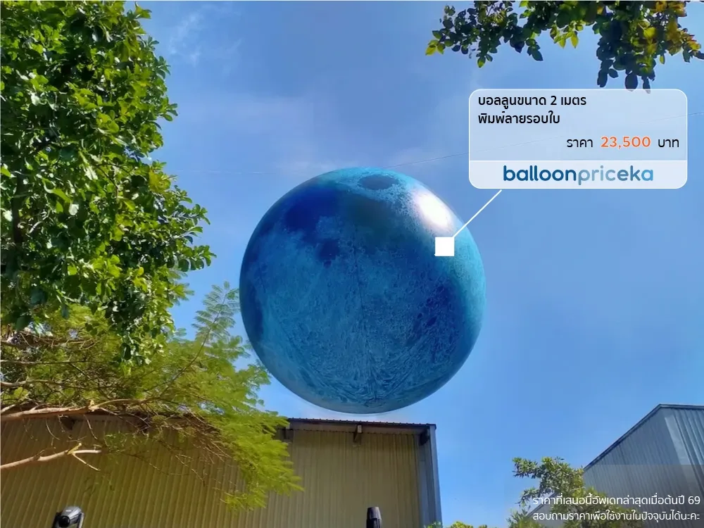 ผลงาน balloonpriceka