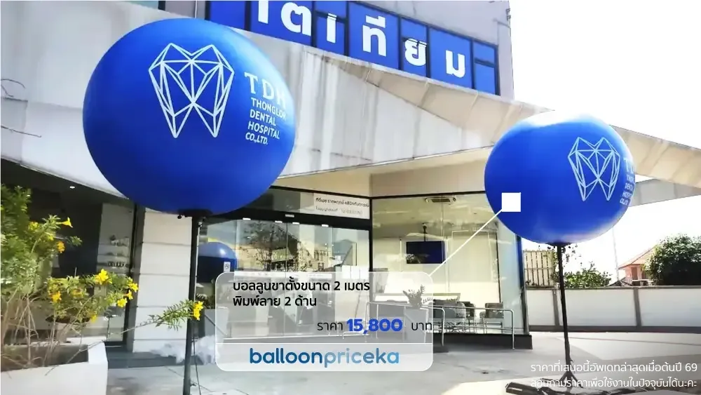 ผลงาน balloonpriceka