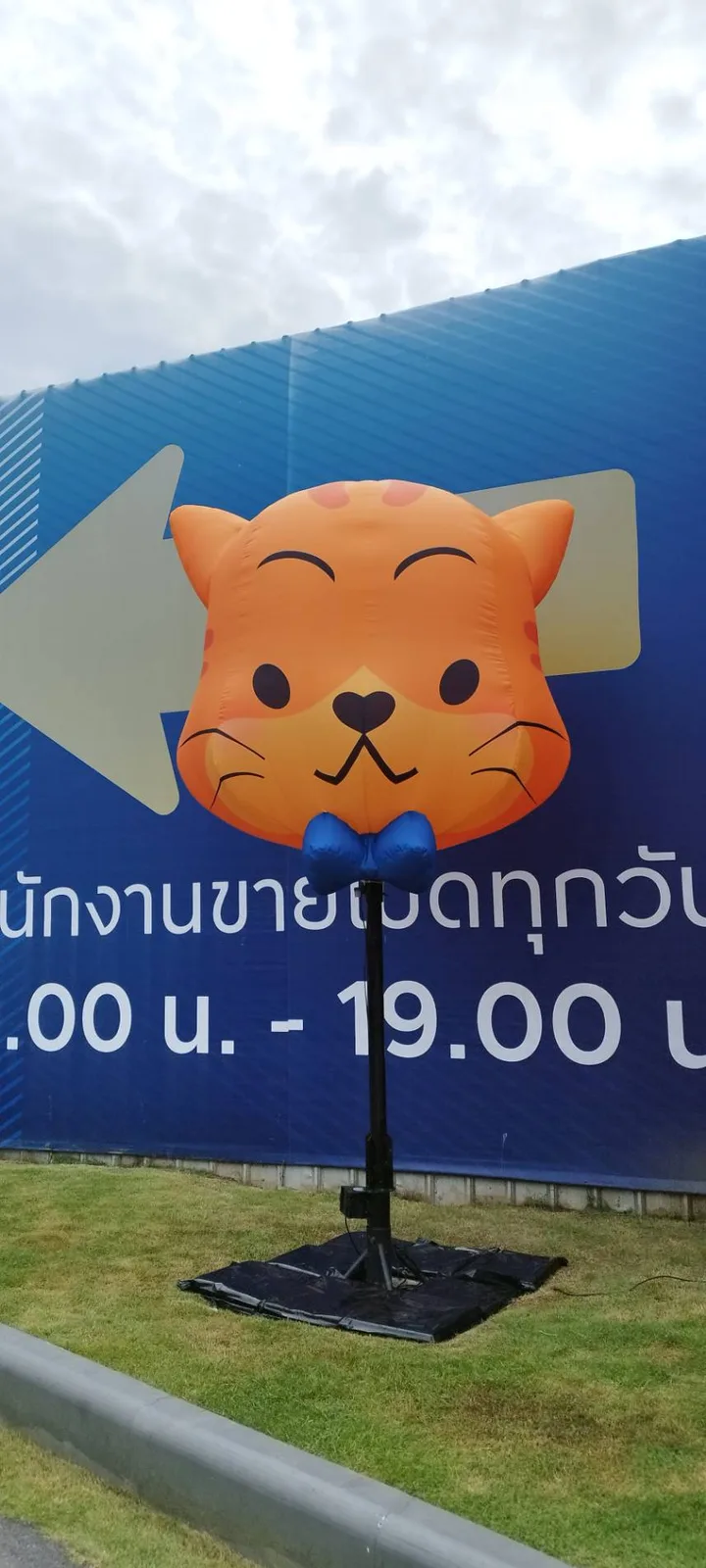 ผลงาน balloonpriceka